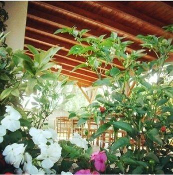 Bed & Breakfast Li Ccoti Cannole
