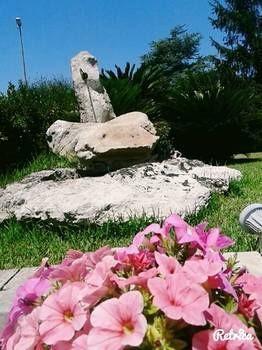 Bed & Breakfast Li Ccoti