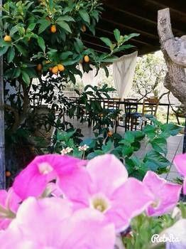 Bed & Breakfast Li Ccoti Cannole
